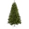7.5ft. Pre-Lit Windermere Christmas Tree, Clear Lights